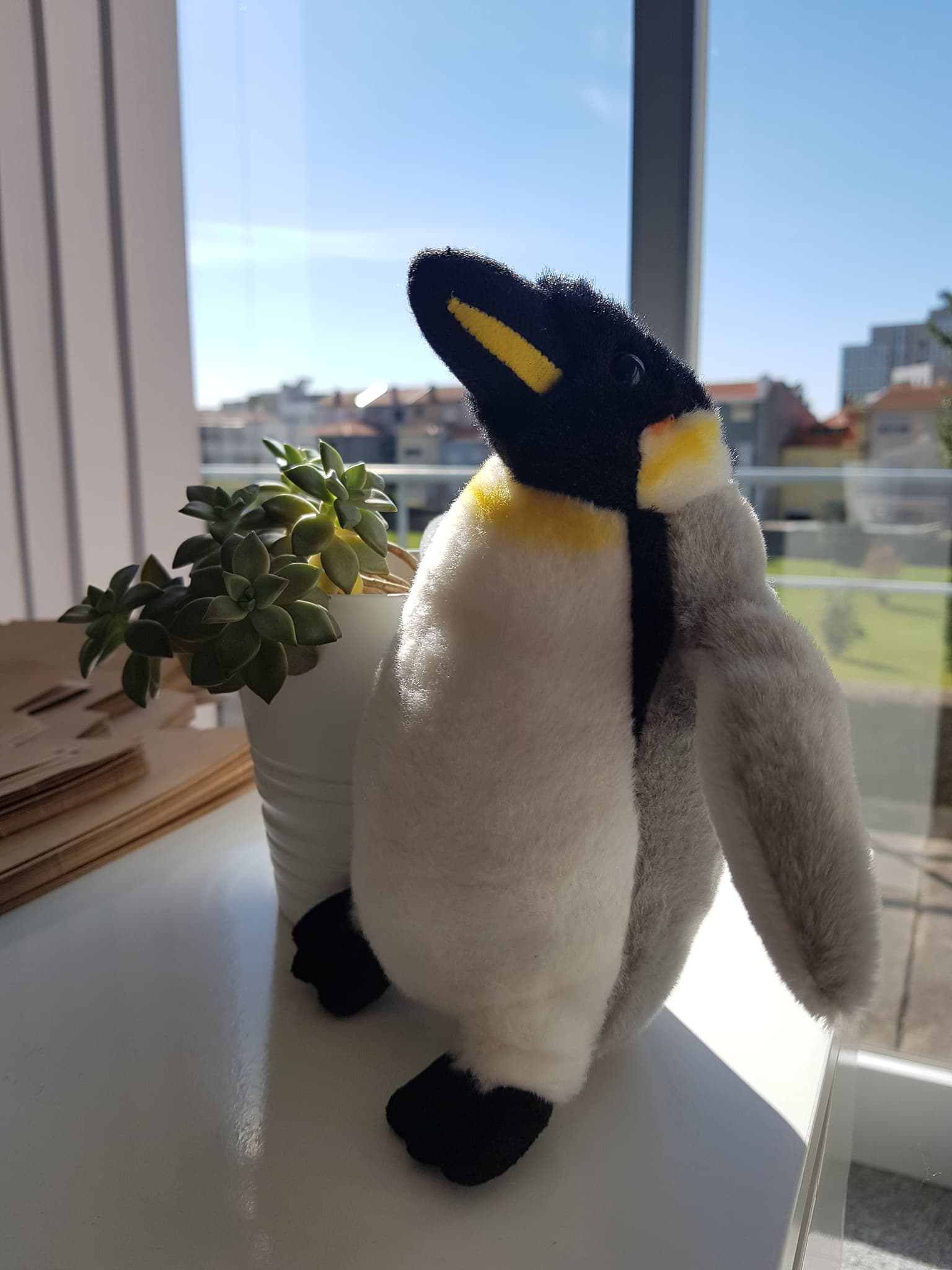 Adopt a penguin with WWF, the world’s leading independent conservation organization. Adopt a penguin with WWF, the world’s leading independent conservation organization.