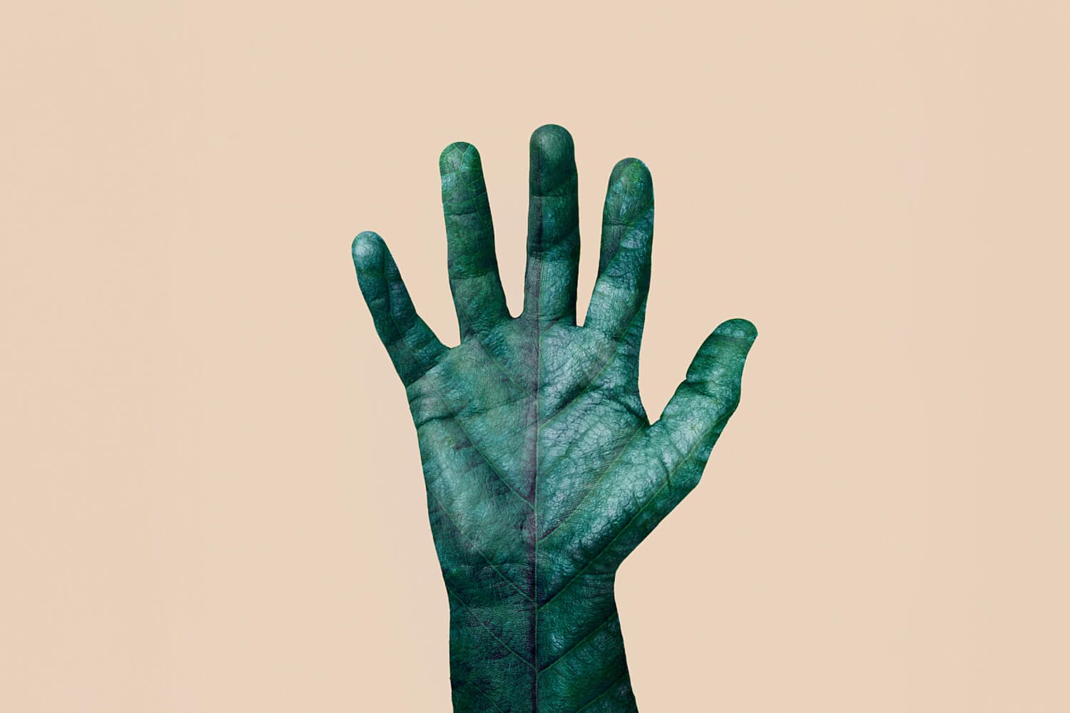 Open palm raised against a beige background, the hand painted deep green and textured with leaf veins. Open palm raised against a beige background, the hand painted deep green and textured with leaf veins.